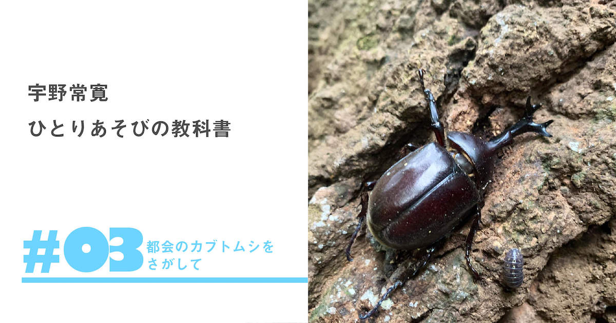 ひとりあそびの教科書 03 都会のカブトムシをさがして 宇野常寛 遅いインターネット