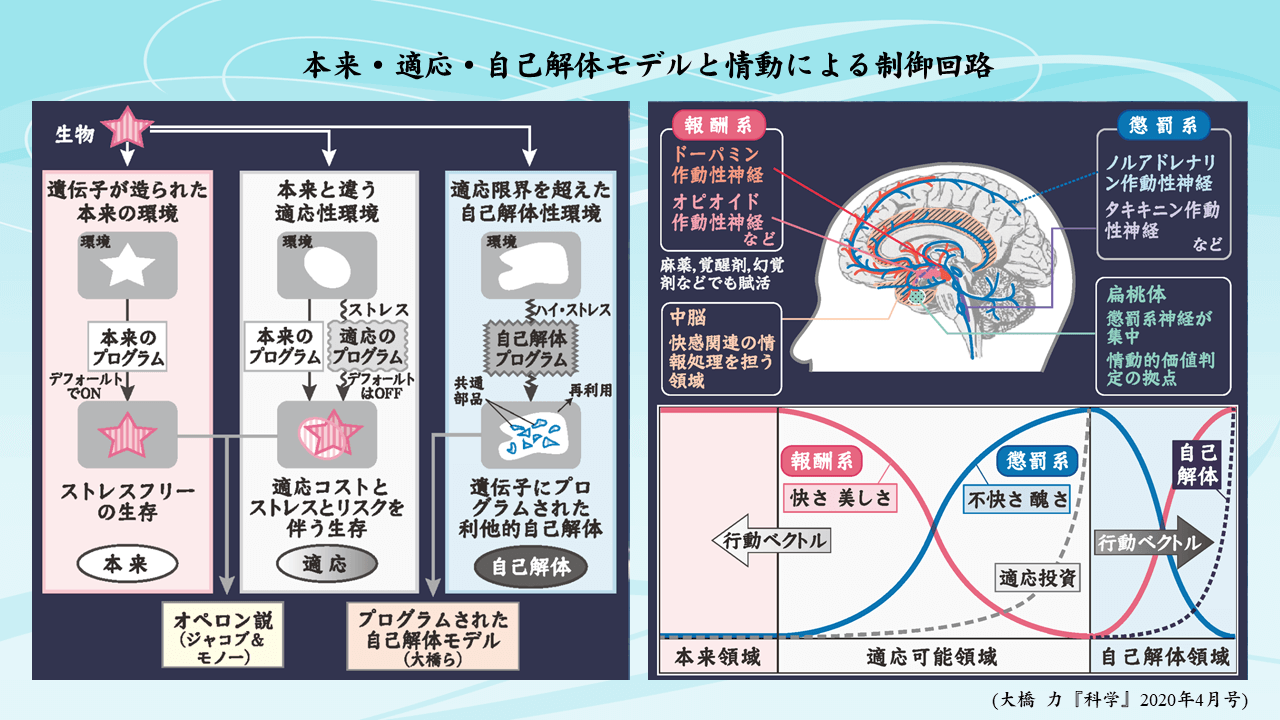 年の芸能山城組 Akira の音楽と幻の ネオ東京 とのあいだで 遅いインターネット